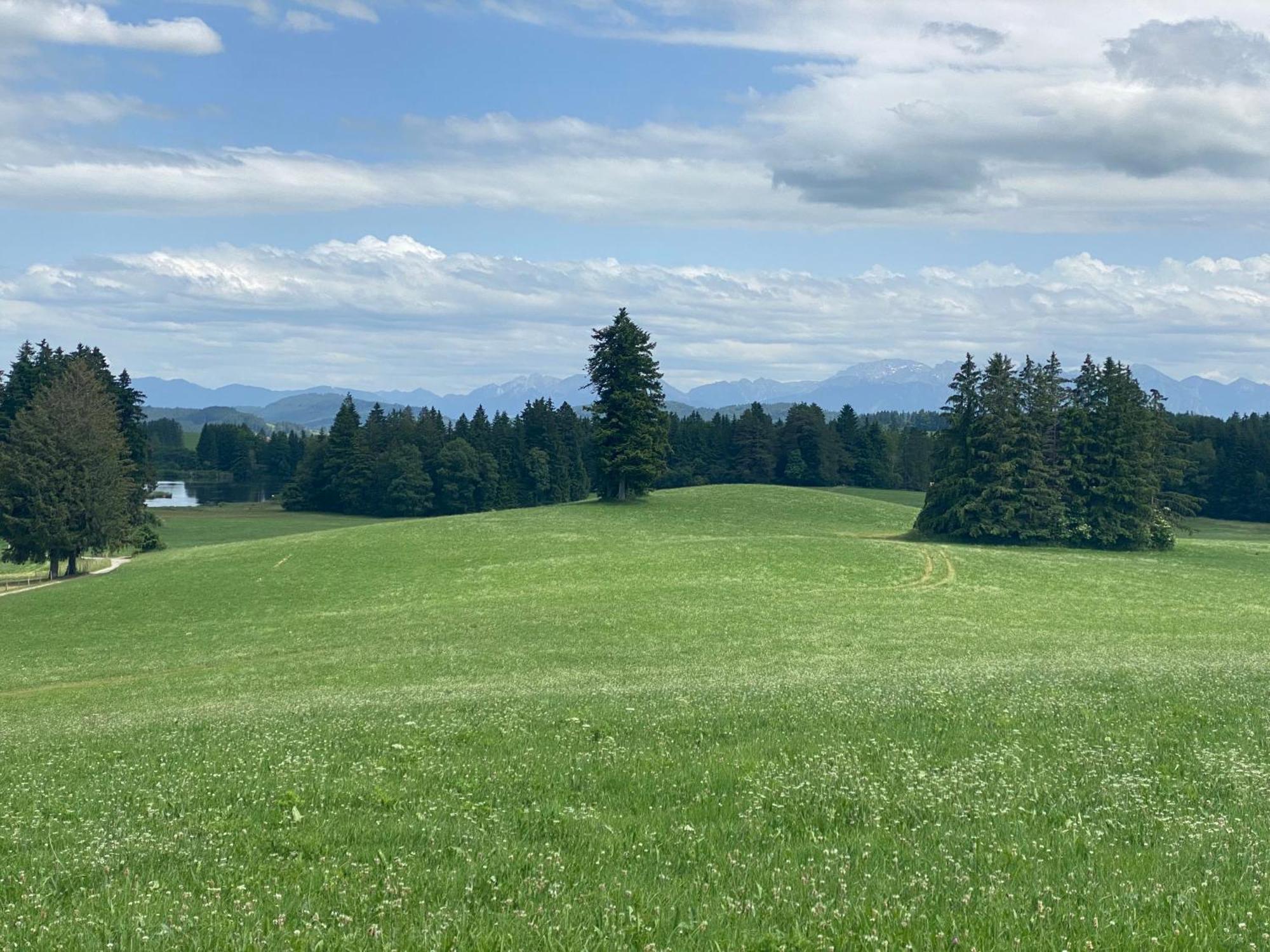"Allgaeu-Herzl" Alpenchalet Fuer Zwei Ruckholz 外观 照片